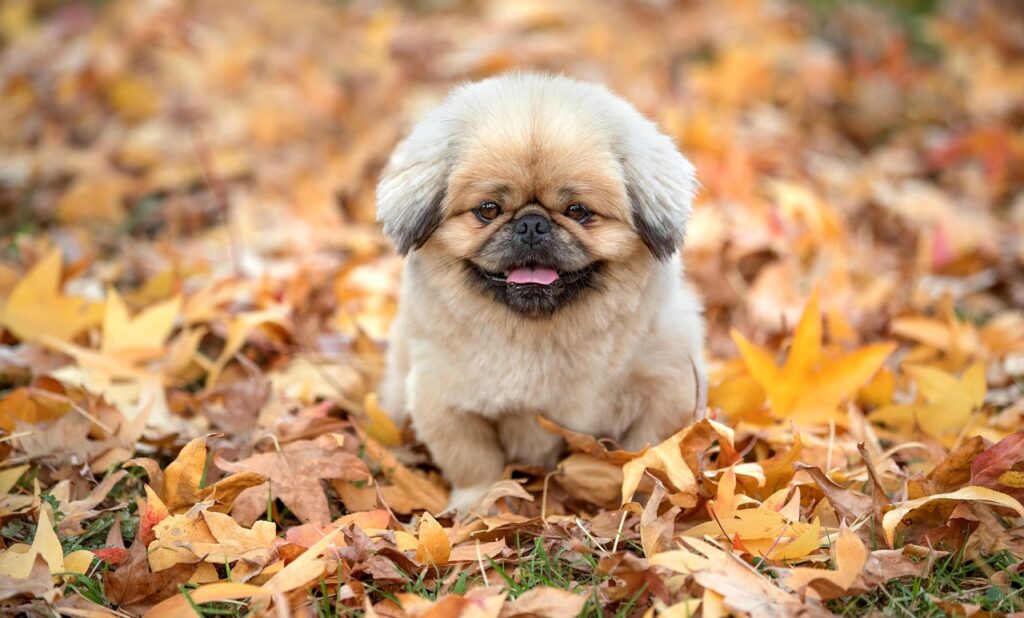 毛穴の黒ずみ解消に効果的なケミカルピーリングとは？