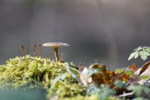 毛穴の黒ずみを取った後に毛穴が開く原因と対策は？