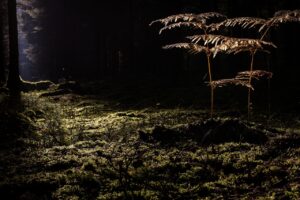 毛穴の黒ずみを解消する毛穴吸引器の効果レビューは？