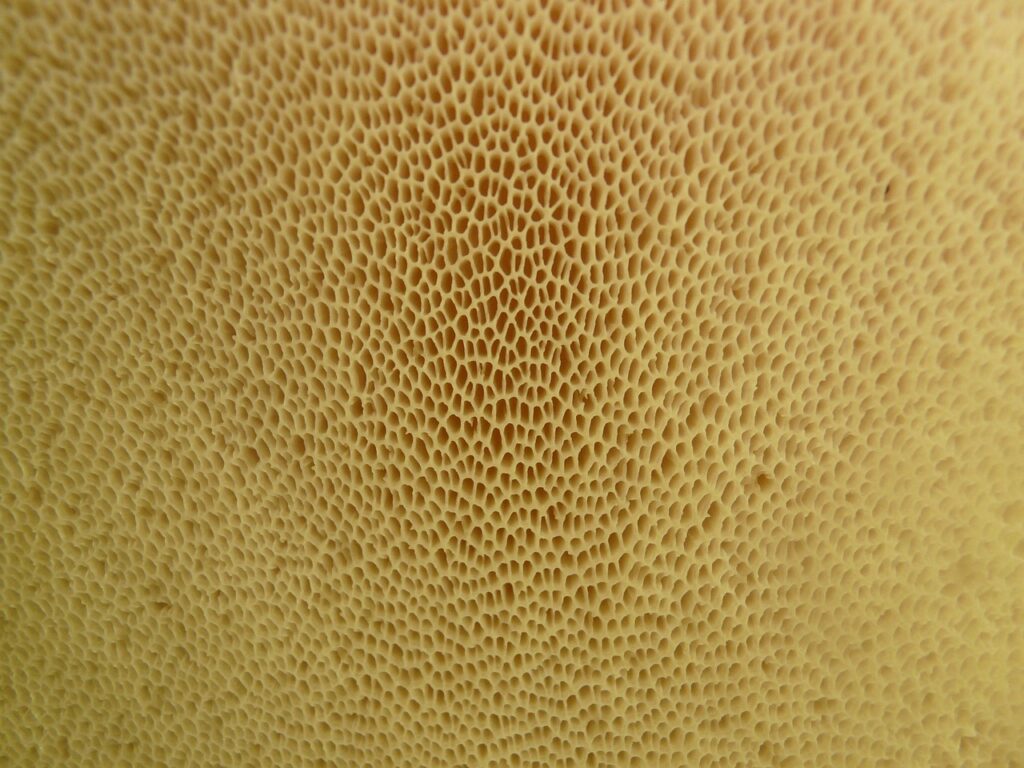 毛穴の黒ずみを解消するための低刺激ピーリングおすすめは？