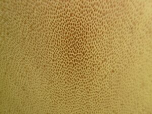 毛穴の黒ずみを解消するための低刺激ピーリングおすすめは？