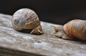 毛穴の黒ずみを解消するためにやってはいけないことは？